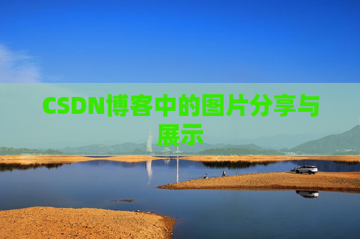 CSDN博客中的图片分享与展示